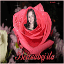 Avatar de Usuario