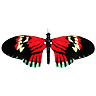 Avatar de Usuario